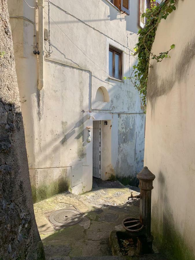 Casa Vacanze Freeholiday House مينوري المظهر الخارجي الصورة